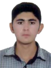 سید مهدی حسینی
